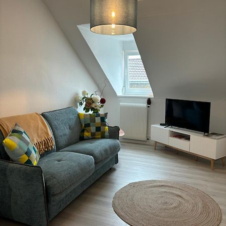 La Mulhousienne F3 Centre Ville Mulhouse Extérieur photo