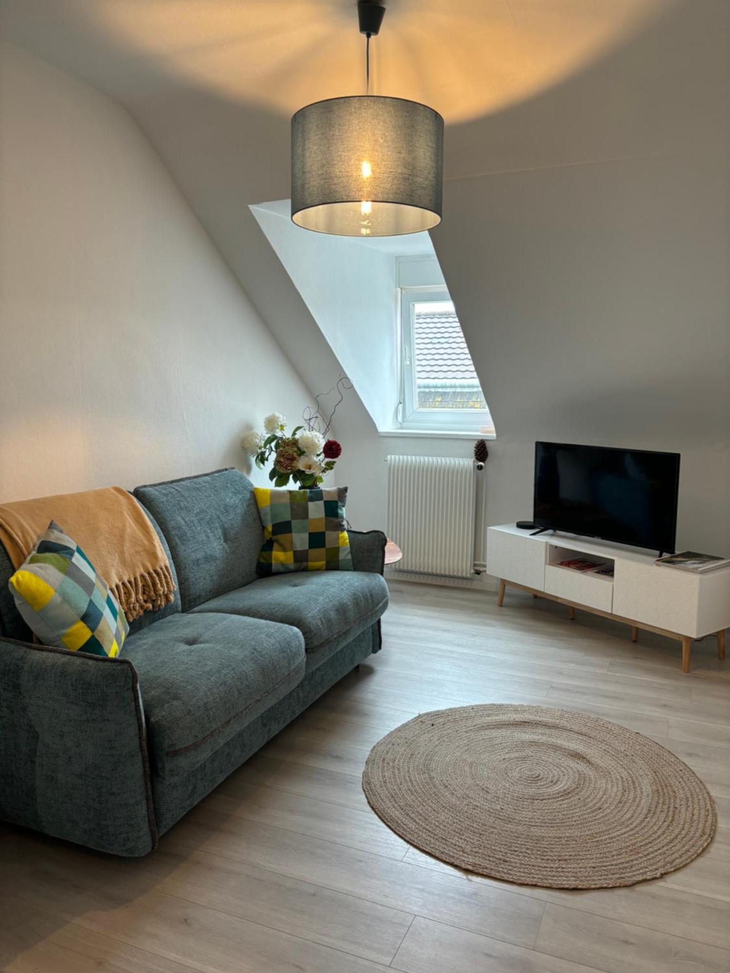 La Mulhousienne F3 Centre Ville Mulhouse Extérieur photo